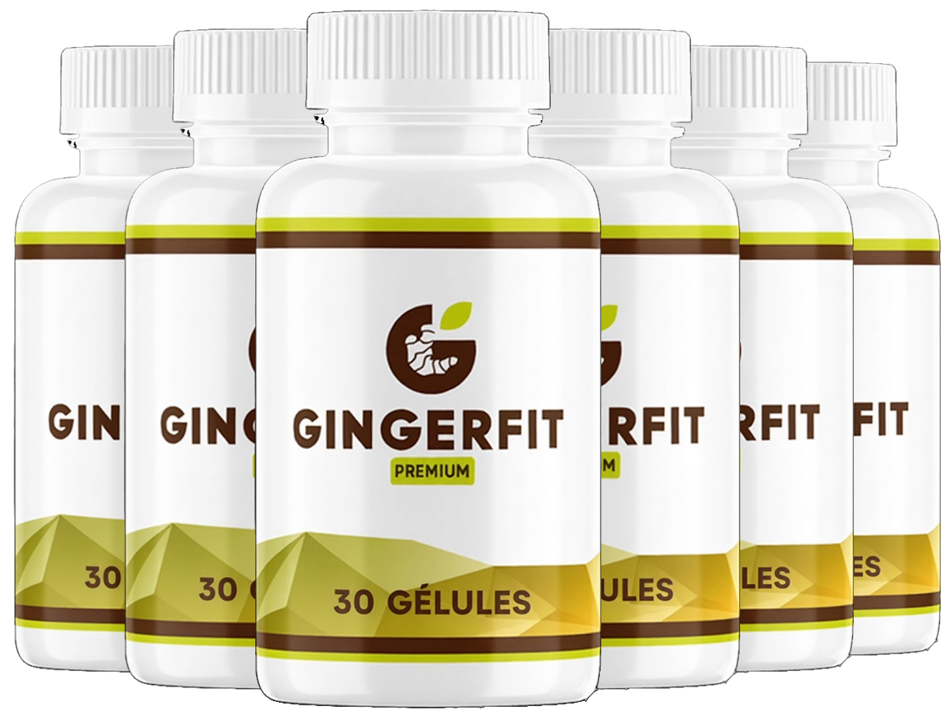 Lipo Jaro – Bottles