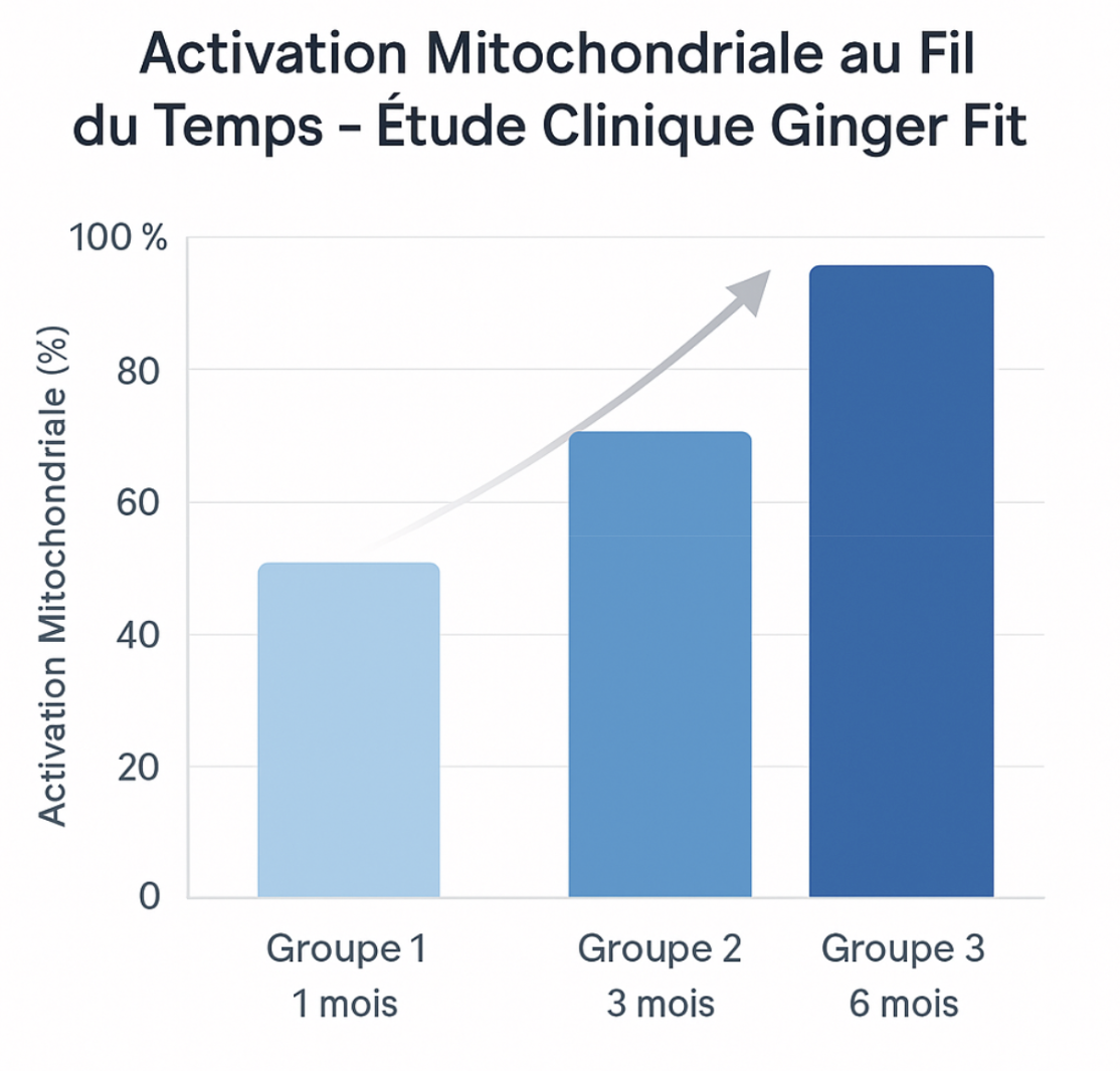 <b>Lipo Jaro</b> – Bottles
